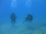 Oahu scuba 23