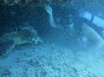 Oahu scuba 30