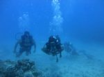 Oahu scuba 42