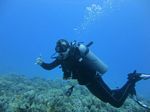 Hawaii Scuba divng 11