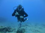 Hawaii Scuba divng 12