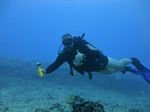 Hawaii Scuba divng 13