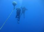 Hawaii Scuba divng 14