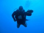 Hawaii Scuba divng 16