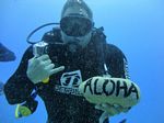 Hawaii Scuba divng 17