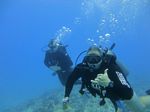 Hawaii Scuba divng 18