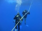 Hawaii Scuba divng 25