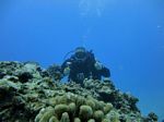 Hawaii Scuba divng 35