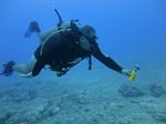 Hawaii Scuba divng 45