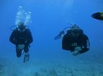 Hawaii Scuba divng 48