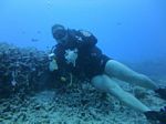 Hawaii Scuba divng 04