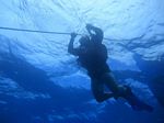 Hawaii Scuba divng 56