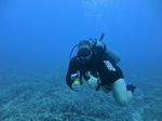 Hawaii Scuba divng 05