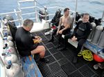 Hawaii Scuba divng 63