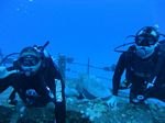 Hawaii Scuba divng 79