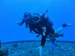 Hawaii Scuba divng 87