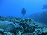 Hawaii Scuba divng 43