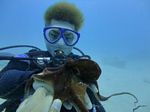 Hawaii Scuba divng 07