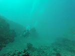 Hawaii Scuba divng 10