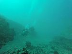 Hawaii Scuba divng 10