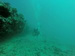 Hawaii Scuba divng 17