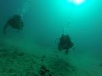 Hawaii Scuba divng 23