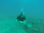 Hawaii Scuba divng 26