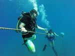 Hawaii Scuba divng 28