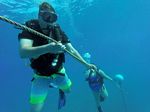 Hawaii Scuba divng 29