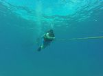 Hawaii Scuba divng 02