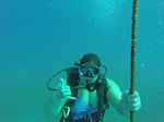 Hawaii Scuba divng 33