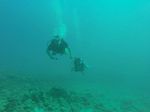 Hawaii Scuba divng 36