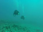 Hawaii Scuba divng 37