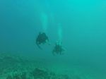 Hawaii Scuba divng 38