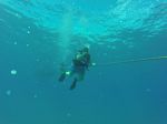 Hawaii Scuba divng 03