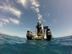 Hawaii Scuba divng 42