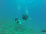 Hawaii Scuba divng 43