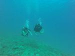 Hawaii Scuba divng 44