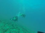 Hawaii Scuba divng 47