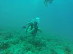 Hawaii Scuba divng 48