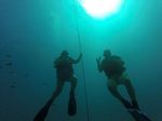 Hawaii Scuba divng 61