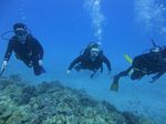 Hawaii Scuba divng 11