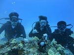 Hawaii Scuba divng 12