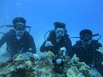 Hawaii Scuba divng 12