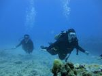 Hawaii Scuba divng 14