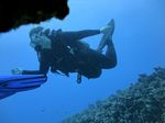 Hawaii Scuba divng 16