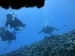 Hawaii Scuba divng 17