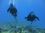 Hawaii Scuba divng 18