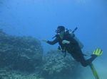 Hawaii Scuba divng 20