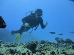 Hawaii Scuba divng 22